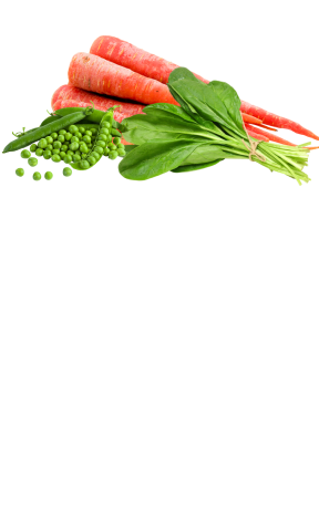Fresh Vegetables